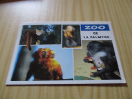 Zoo De La Palmyre (17).Vues Diverses. - Les Mathes