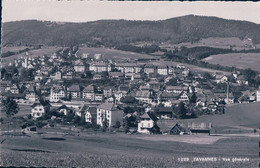 Tavannes BE, Chemin De Fer (1229) - Tavannes