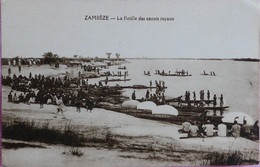 C. P. A. : Zambie : ZAMBEZE : La Flotille Des Canots Royaux - Zambie