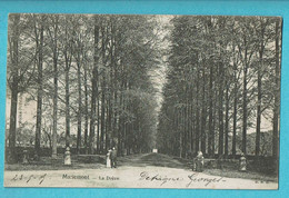 * Mariemont - Morlanwelz (Hainaut - La Wallonie) * (H.D.G.) La Drève, Dreef, Animée, Bois, Parc, Bos, Old - Morlanwelz