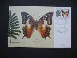 Carte Maximum Card Maximum Papillons Nouvelle-Calédonie 1987 - Papillons