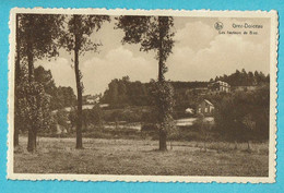* Grez Doiceau - Graven (Brabant Wallon) * (Nels, Imprimerie Léon Michaux) Les Hauteurs De Biez, Panorama, Old - Graven