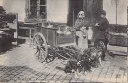 CPA Belgique - Laitière Flamande - Contravention - Attelage à Chiens - Agent - Street Merchants