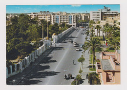 Libya Libyen Libia Libye TRIPOLI Street View With Many Old Car, Automobile Vintage Photo Postcard RPPc (42514) - Libye