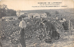 16-COGNAC- DOMAINE DE LORIMONT- CRU DE GRANDE FINE CHAMPAGNE, PROPRIETE DE LA MAISON PELLISSON PERE ET Cie - Cognac