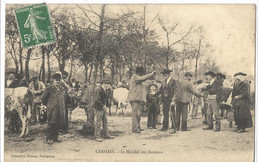 29  CARHAIX  LE  MARCHE  AUX  BESTIAUX - Carhaix-Plouguer