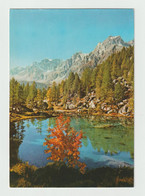 ALPE  DEVERO (NO):  LAGO  DELLE  STREGHE  -  PER  LA  SVIZZERA  -  FG - Torres De Agua