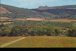 Angleterre --  Haytor Rocks - Dartmoor