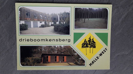 DRIEBOOMKENSBERG   TE   MALLE-WEST - Malle