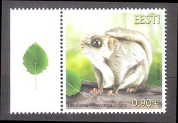 Estonian Fauna - Siberian Flying Squirrel Estonia 2022 MNH Stamp  Mi 1054 - Estonia