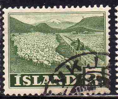 ISLANDA ICELAND ISLANDE 1950 1954 FLOCK OF SHEEP 5k USED USATO OBLITERE' - Gebraucht