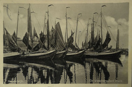 Harderwijk (Gld.) De Visschersvloot Thuis 1938 - Harderwijk