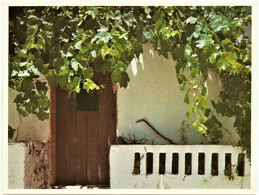 Santa Luzia - Porta - N.º 27 - Portas E Janelas - Ed. C. M. OURIQUE ( Fot. Luís Pavão ) - Beja