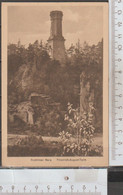 Rochlitz I.S. Rochlitzer Berg Mit Friedrich-August-Turm Ungebraucht ( AK 2660 ) - Rochlitz