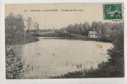 Solre-le-Château (59) : Villa Sur Les Bords De L'Etang De Borzies En 1918 ETAT PF - Solre Le Chateau