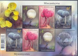 2020. Belarus, Myxomycetes, S/s, Mint/** - Bielorussia