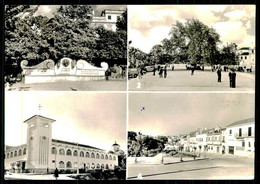 PORTALEGRE - Banco José Duro - Avenida Da Liberdade - Mercado Municipal - Uma...(Ed. Casa Lusitana Nº 5 )carte Postale - Portalegre