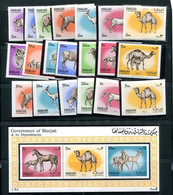 Sharjah 1972 Animals Mi 1113-29 Perf + SS Some Imperf MNH 13735 - Sharjah