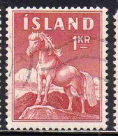 ISLANDA ICELAND ISLANDE 1960 ICELANDIC PONY 1k USED USATO OBLITERE' - Gebruikt