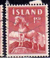 ISLANDA ICELAND ISLANDE 1960 ICELANDIC PONY 1k USED USATO OBLITERE' - Oblitérés