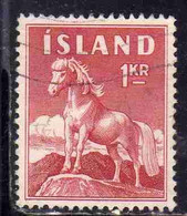 ISLANDA ICELAND ISLANDE 1960 ICELANDIC PONY 1k USED USATO OBLITERE' - Oblitérés