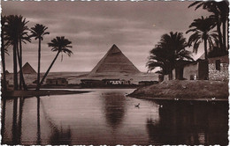 The Pyramids During Nile Flood Lehnert & Landrock No - Guiza