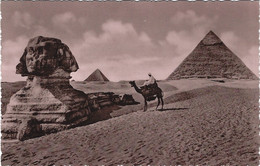 The Great Sphinx And Pyramids Lehnert & Landrock No 2 - Gizeh