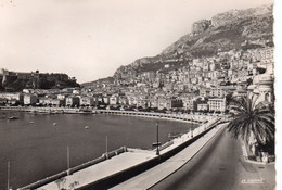 Monte-Carlo La Condamine Le Palais Du Prince - La Condamine