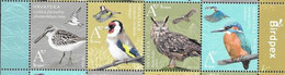 CROATIA, 2022, MNH, BIRDS, BIRDPEX, OWLS, WOODPECKERS,4v - Eulenvögel