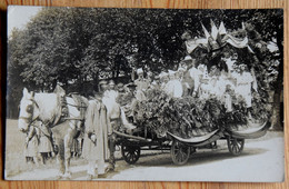 Carte-photo Animée D'un Char De Carnaval Avec Drapeaux Tiré Par Un Cheval De Trait - Percheron ? - Lieu ?? - (n°24308) - Carnaval