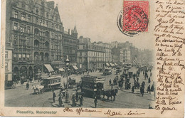 Horse Tram Picadilly Manchester Tram à Cheval  1902 - Taxi & Fiacre