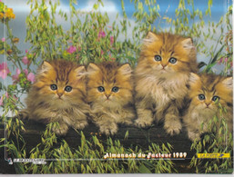 Calendrier De La Poste, Almanach Du Facteur : 1989, HAUTE-SAÔNE, Chatons, Chiots. Le Bicentenaire 1789-1989 - Grand Format : 1981-90