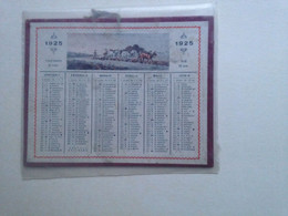 Calendrier 1925 Encore Sous Plastique Petit Format 125 Mm X 95 Mm Environ - Petit Format : 1921-40