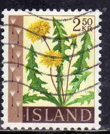 ISLANDA ICELAND ISLANDE 1960 1962 FLORA FLOWERS PLANTS DANDELION 2.50k USED USATO OBLITERE' - Used Stamps