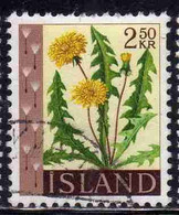 ISLANDA ICELAND ISLANDE 1960 1962 FLORA FLOWERS PLANTS DANDELION 2.50k USED USATO OBLITERE' - Gebraucht