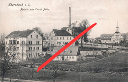 AK Ebersbach Fabrik Fritz Friedersdorf Spreedorf Neugersdorf Neusalza Spremberg Seifhennersdorf Eibau Georgswalde Fugau - Ebersbach (Löbau/Zittau)