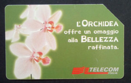 Telephonecard From Italy, Empty And Used (Read Text) - Autres & Non Classés