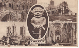 Carte Postale De LINCOLN Cathedral. Cathédrale. - Lincoln