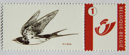 Hirondelle - 1985-.. Uccelli (Buzin)