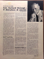 Articolo Del 1938 Con Gerhard Domagk Il Distruttore Di Microbi Pathologus - Non Classificati