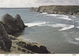 Postcard Three Cliffs Gower  My Ref B25584 - Glamorgan