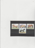 Cuba 2005 - (Yvert)  4291+92+93+94  Used  "Animali. Cavalli" - Used Stamps