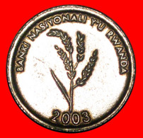 * RICE: RWANDA ★ 1 FRANC 2003 MINT LUSTRE!★LOW START ★ NO RESERVE! - Rwanda