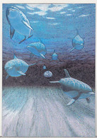 England Dufex Foil Uncirculated Postcard - Dolphins - Water World (William Schimmel) - Dauphins