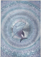 England Dufex Foil Uncirculated Postcard - Dolphins - Dauphins