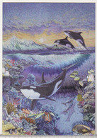 England Dufex Foil Uncirculated Postcard - Dolphins - - The Living Ocean ( Meiklejohn Graphics ) - Dauphins