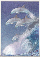 England Dufex Foil Uncirculated Postcard - Dolphins - Out Of The Blue ( Meiklejohn Graphics ) - Dauphins