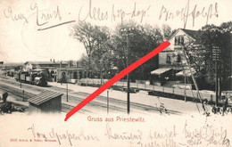 AK Priestewitz Bahnhof Gare Zug Gasthof A Großenhain Meißen Diesbar Nünchritz Niederau Weinböhla Radebeul Coswig Riesa - Weinböhla