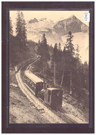 FORMAT 10x15cm - SCHYNIGE PLATTE BAHN - REPRO ANNEES 70 - LEUTWILER VERLAG - TRAIN - BAHN - TB - Wiler Bei Utzenstorf