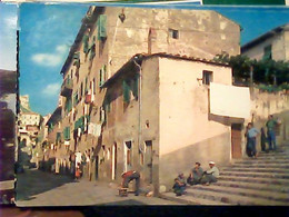 PORTOFERRAIO VIA ROMA ANIMATA  V1970  IV967 - Livorno